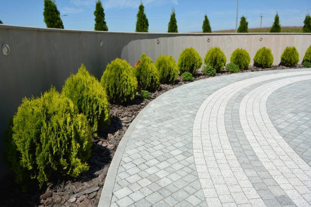 Best Professional Driveway Pavers  in Henderson, KY